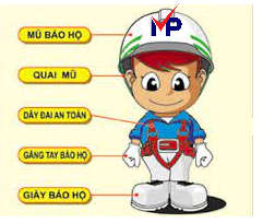 Bao hộ Mạnh Phát