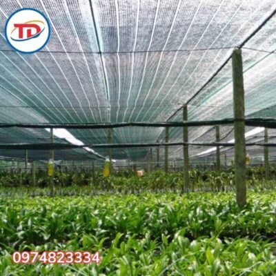 ứng dụng của lưới che nắng