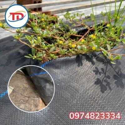 ưu điểm của bạt phủ chống cỏ 120gr 4m