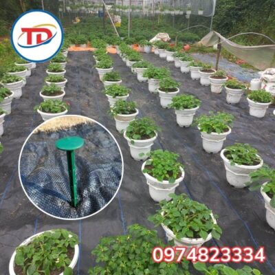 lưu ý khi trải bạt phủ chống cỏ