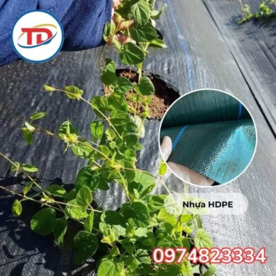 Ưu điểm nổi bật của bạt phủ chống cỏ khổ 4m