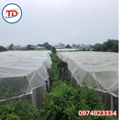 Lưới chắn côn trùng khổ 4m