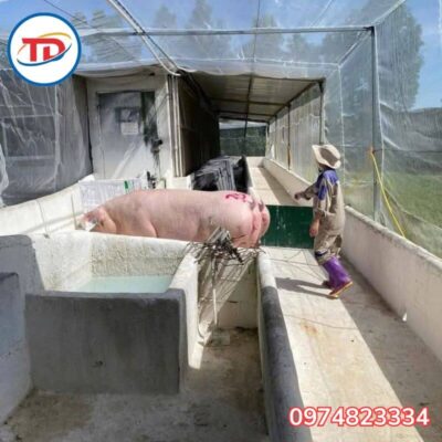 Ứng dụng lưới chắn 32 mesh