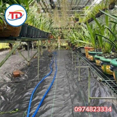 Ứng dụng trải lỗi đi, vườn ươm, cây trồng