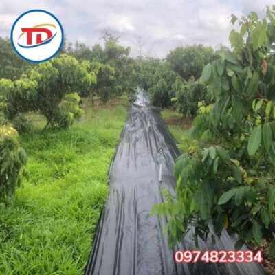 Cần lựa chọn bạt phù hợp với nhu cầu và diện tích sử dụng