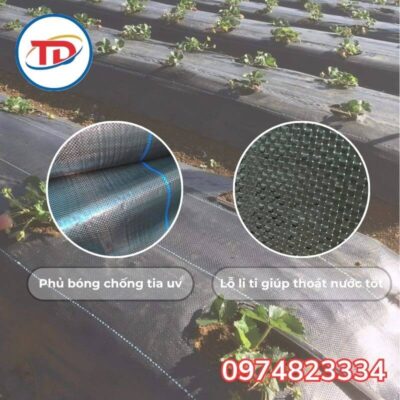 Đặc điểm của bạt phủ cỏ 90gr