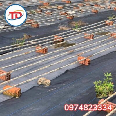 ứng dụng bạt phủ chống cỏ vào trải lối đi