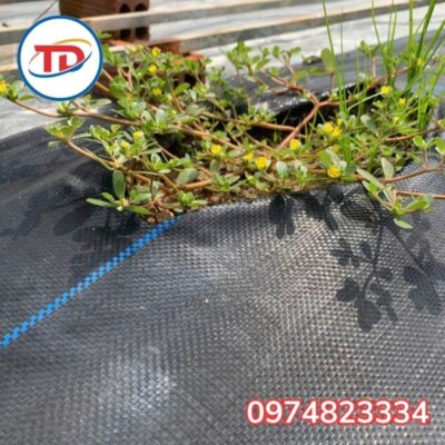 Ưu điểm của bạt phủ chống cỏ 90gr 