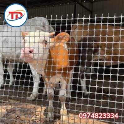 Ứng dụng che chắn chuồng trại lưới nhựa ô vuông