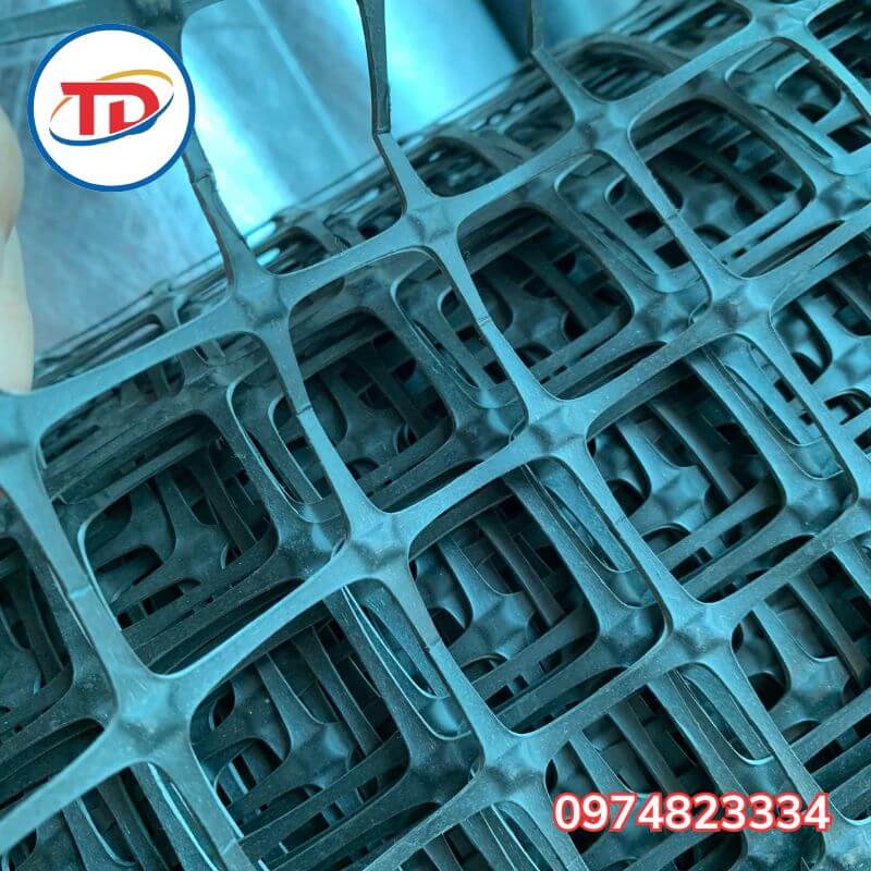 Lưới nhựa đen ô vuông 1m2
