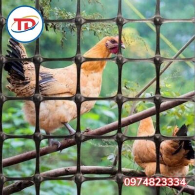 Lưới nhựa ô vuông che chắn chuồng trại, làm hàng rào,...