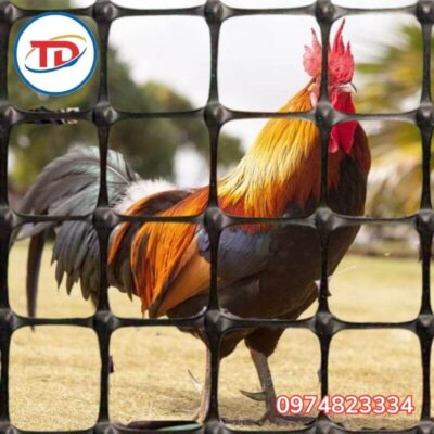 Ứng dụng lưới nhựa đen ô vuông